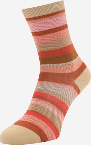 FALKE Ponožky – béžová: přední strana