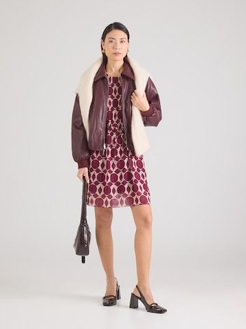 purpurinė ZABAIONE Suknelė 'Sa44raa'
