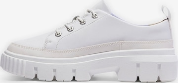 TIMBERLAND Sneakers in White: front