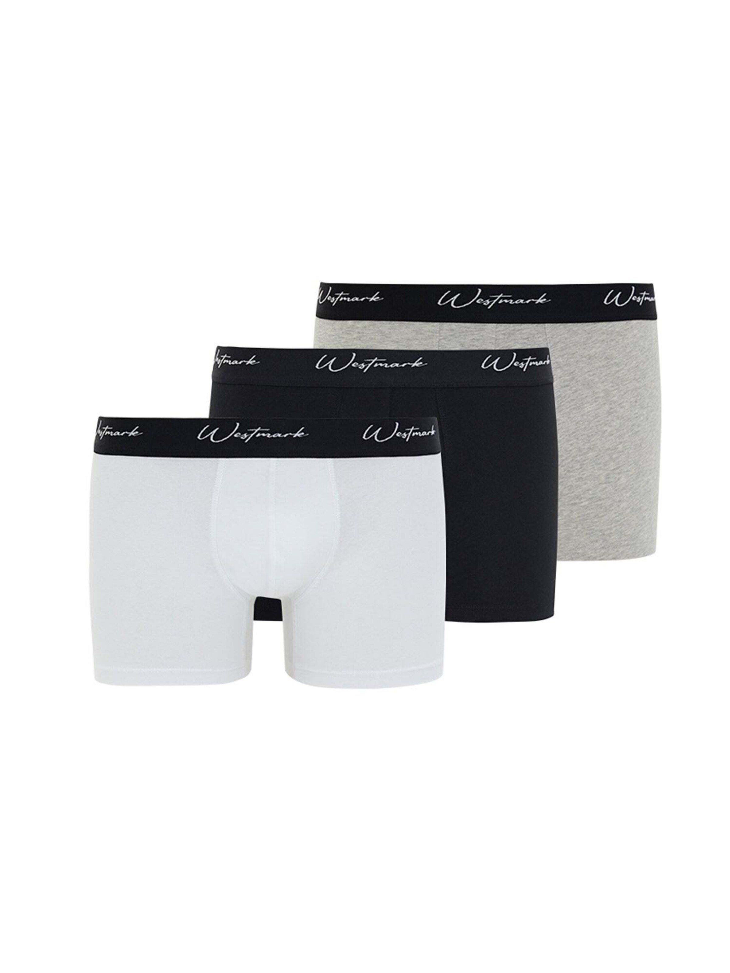 WESTMARK LONDON Boxershorts 'Lucas' in Grijs: voorkant