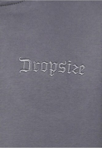 Giacca di felpa di Dropsize in grigio