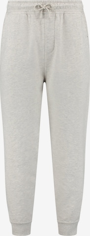 Effilé Pantalon Shiwi en gris : devant