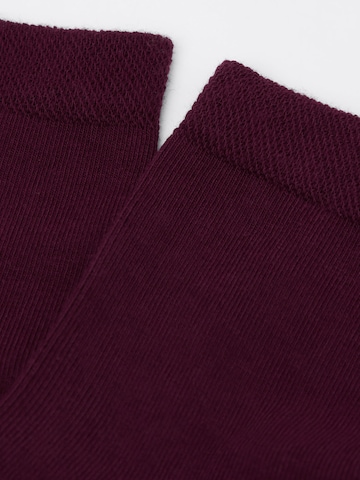 CALZEDONIA Socks in Red