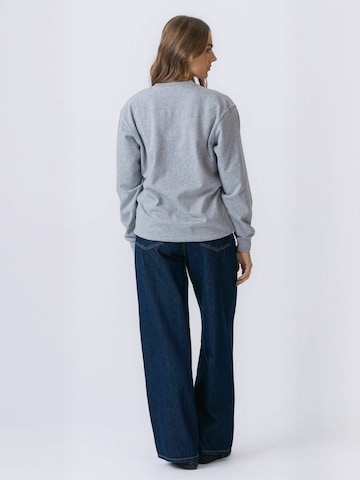 TEESHOPPEN - Jersey ' Crewneck ' en gris