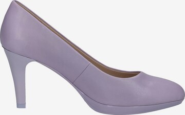 CAPRICE Pumps in Lila