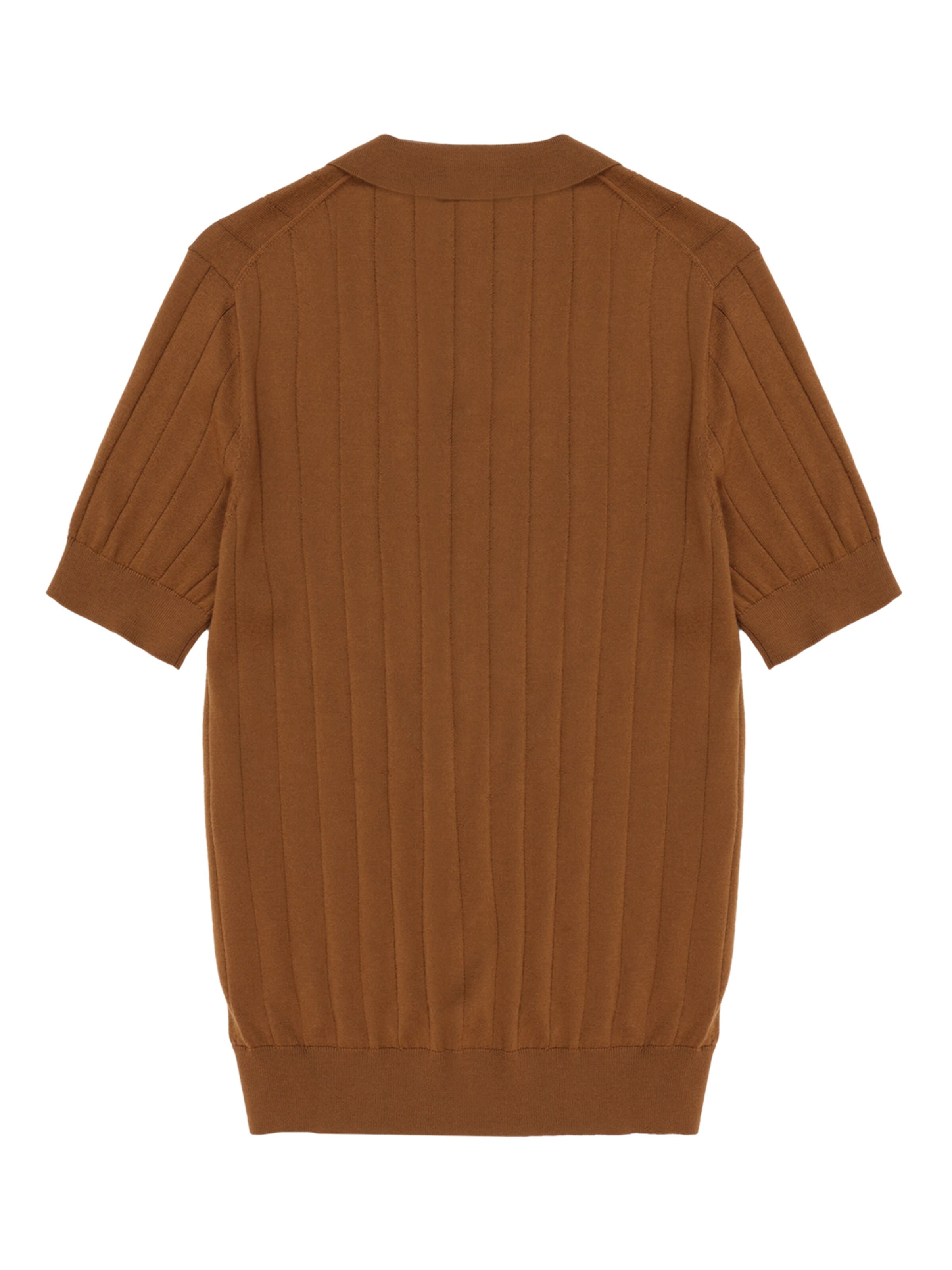 Maglietta 'DANTA regular merino knit polo shirt' di FILA in marrone