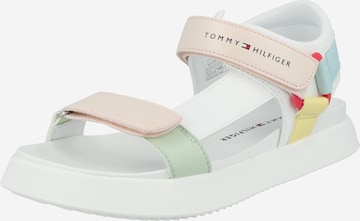 TOMMY HILFIGER Sandals in Mixed colors: front