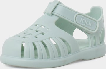 Claquettes / Tongs IGOR en vert : devant