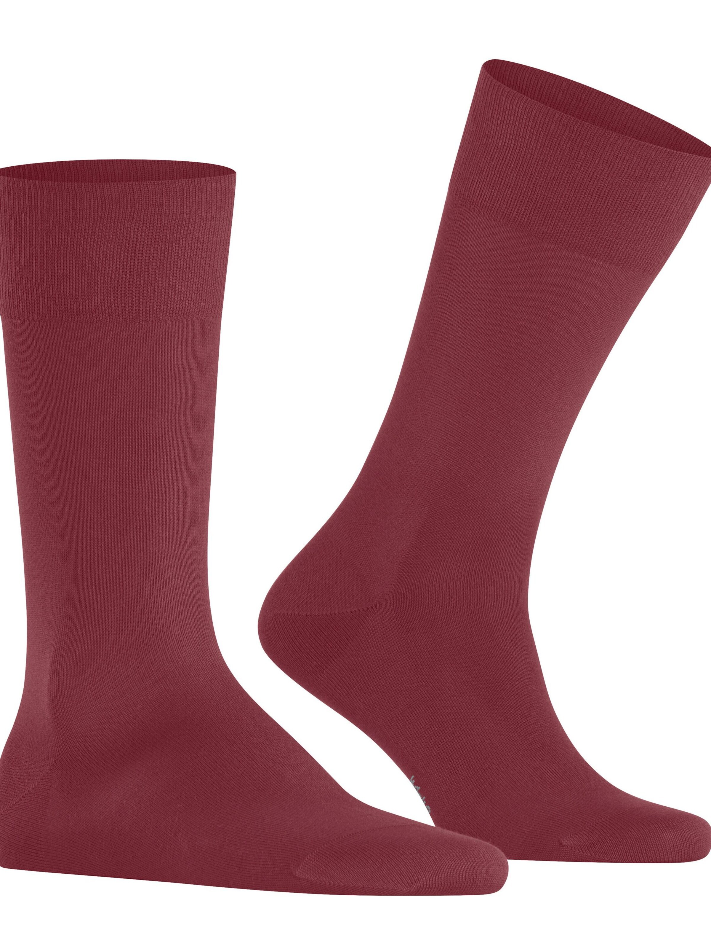 FALKE Socks 'Cool 24/7' in Red: front