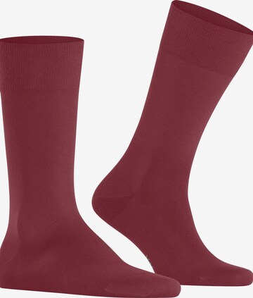 FALKE Socks 'Cool 24/7' in Red: front