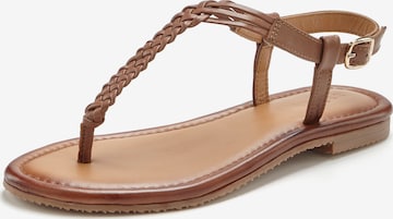 VIVANCE T-Bar Sandals in Brown: front