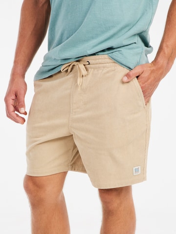 PROTEST Regular Hose 'PRTUleyo' in Braun