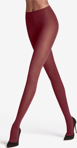 FALKE Strumpfhose 'Matt Deluxe' in Rot: Vorderseite
