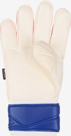 ADIDAS PERFORMANCE Αθλητικά γάντια 'Predator Edge Fingersave Match Goalkeeper' σε λευκό