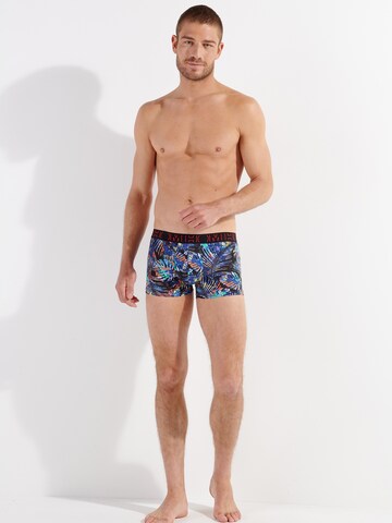 HOM Retro Pants ' Jorge Boxer ' in Mischfarben