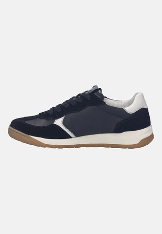 JOSEF SEIBEL High-top trainers in Black