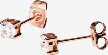 PURELEI Ohrringe 'Pristine Klein' in Gold: Vorderseite