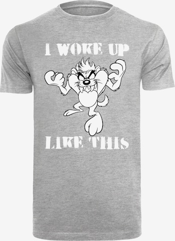 F4NT4STIC Shirt 'Looney Tunes Taz' in Grey: front