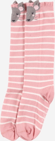 EWERS Socks in Pink: front