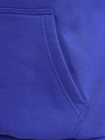 DEF Sweatjacke in Blau