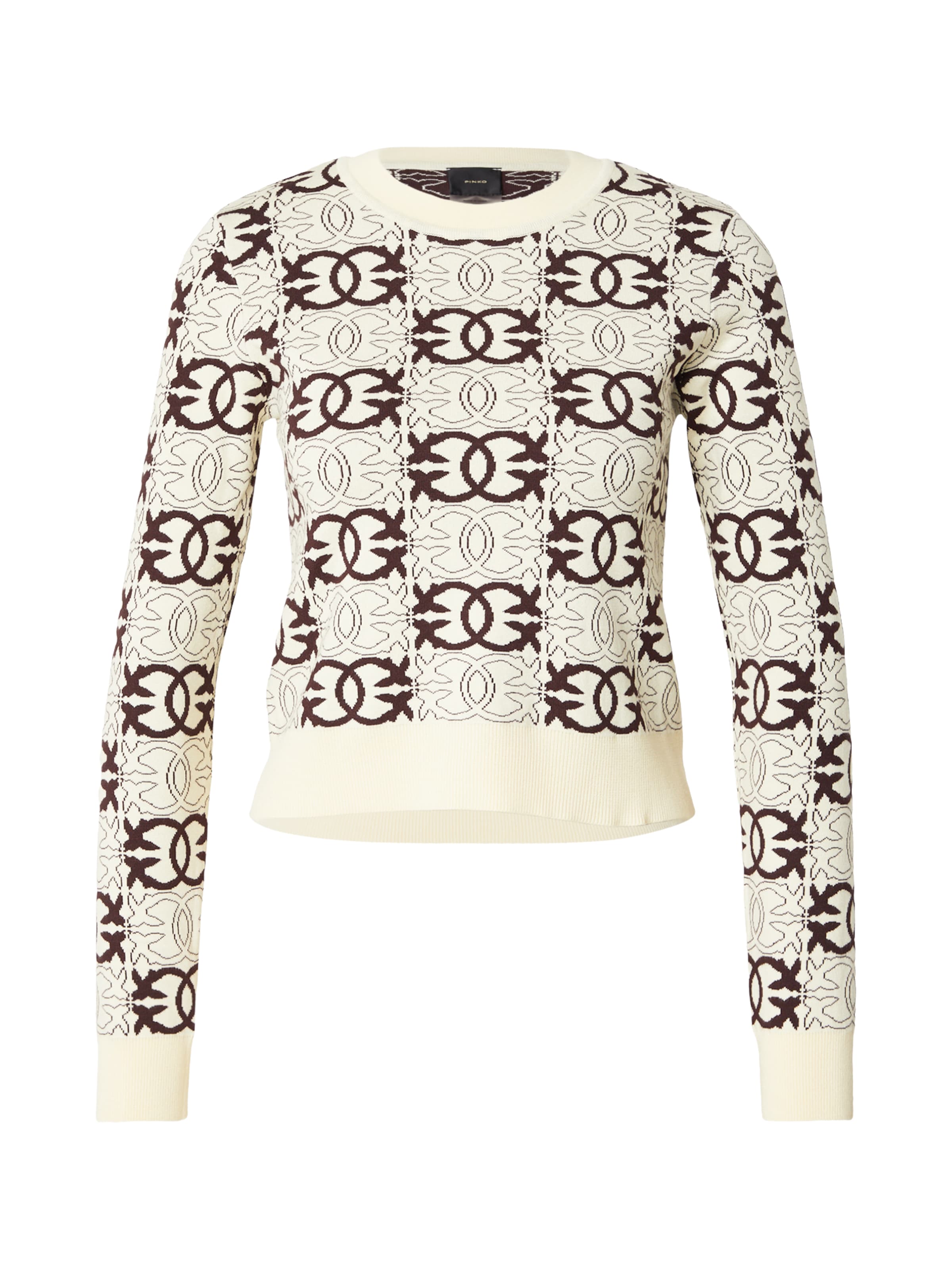 PINKO Sweater in Beige: front