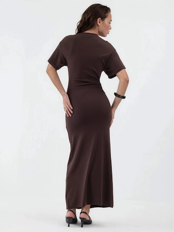 Busem Dress in Brown