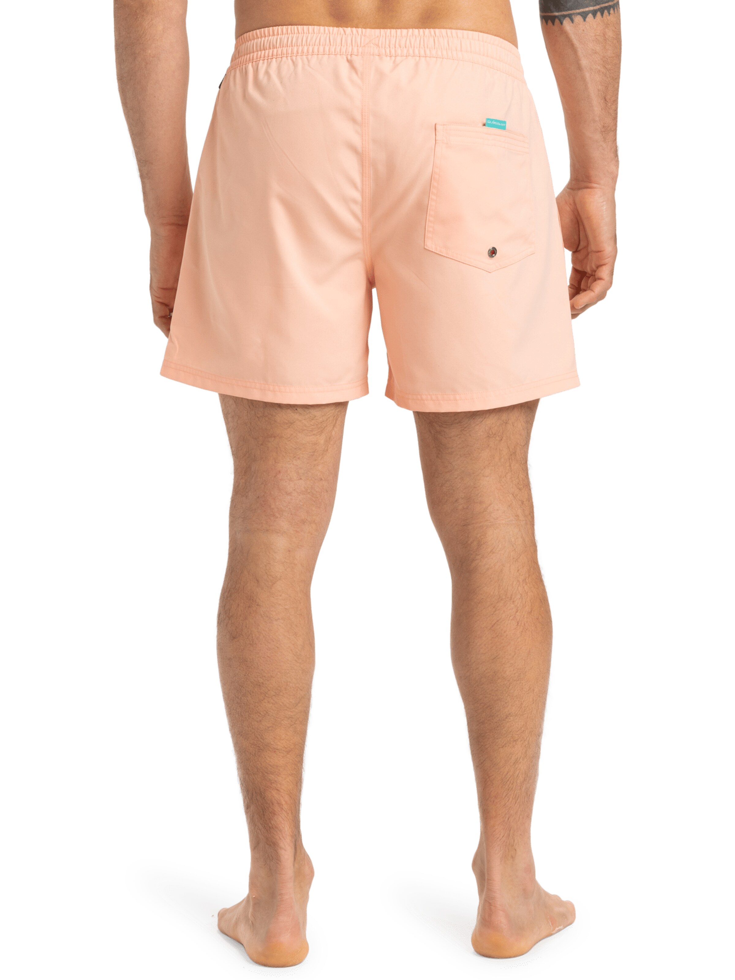 QUIKSILVER Regular Zwemshorts 'Everyday Solid Volley 15' in Oranje