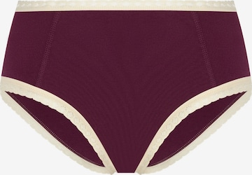 Albero Natur Panty 'Damen Bio-Baumwoll Hipster mit Spitze' in Purple: front