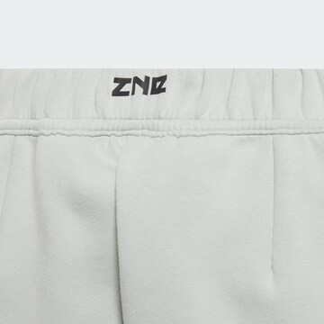 Regular Pantalon de sport 'Z.N.E.' ADIDAS PERFORMANCE en gris