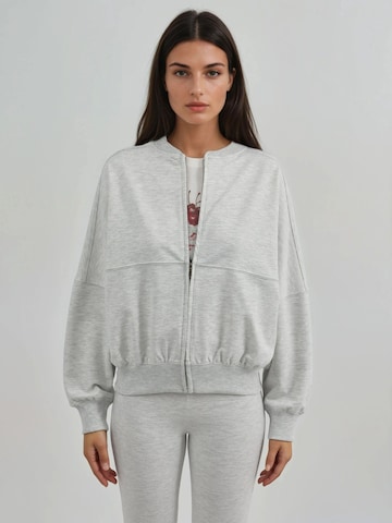 Busem Sweatshirts in Grau
