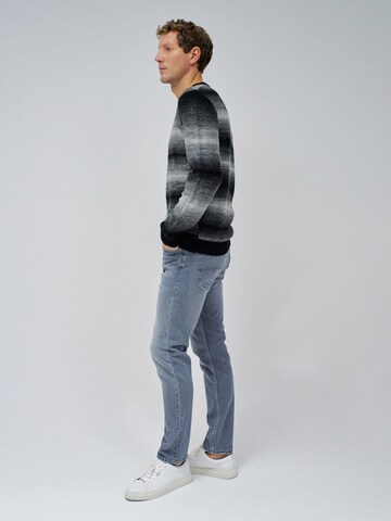 Salsa Jeans Trui in Grijs