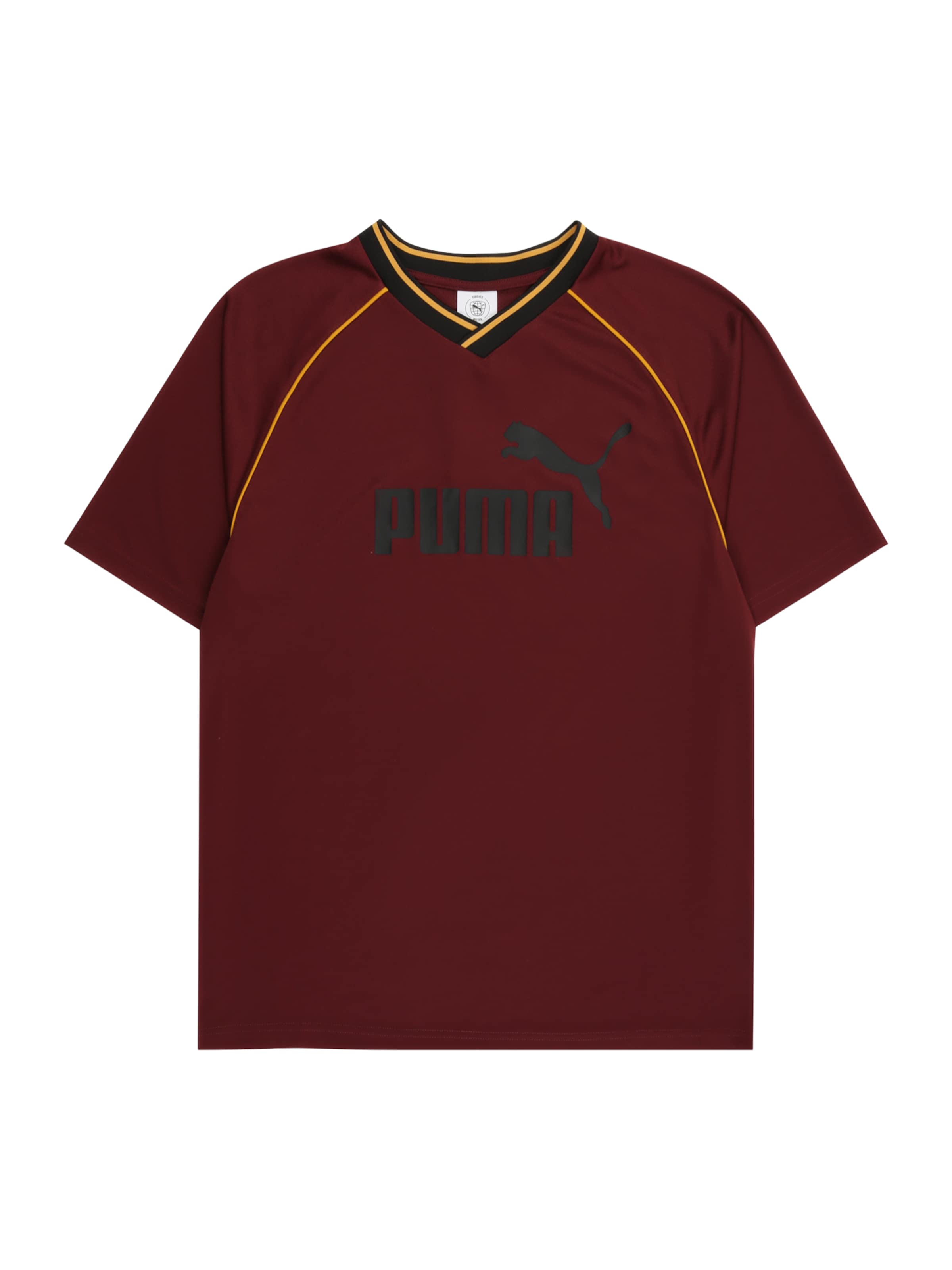 PUMA Funktsionaalne särk 'Ess', värv punane: eest vaates