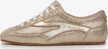 Floris van Bommel Sneakers laag 'Aimi 01' in Goud: voorkant