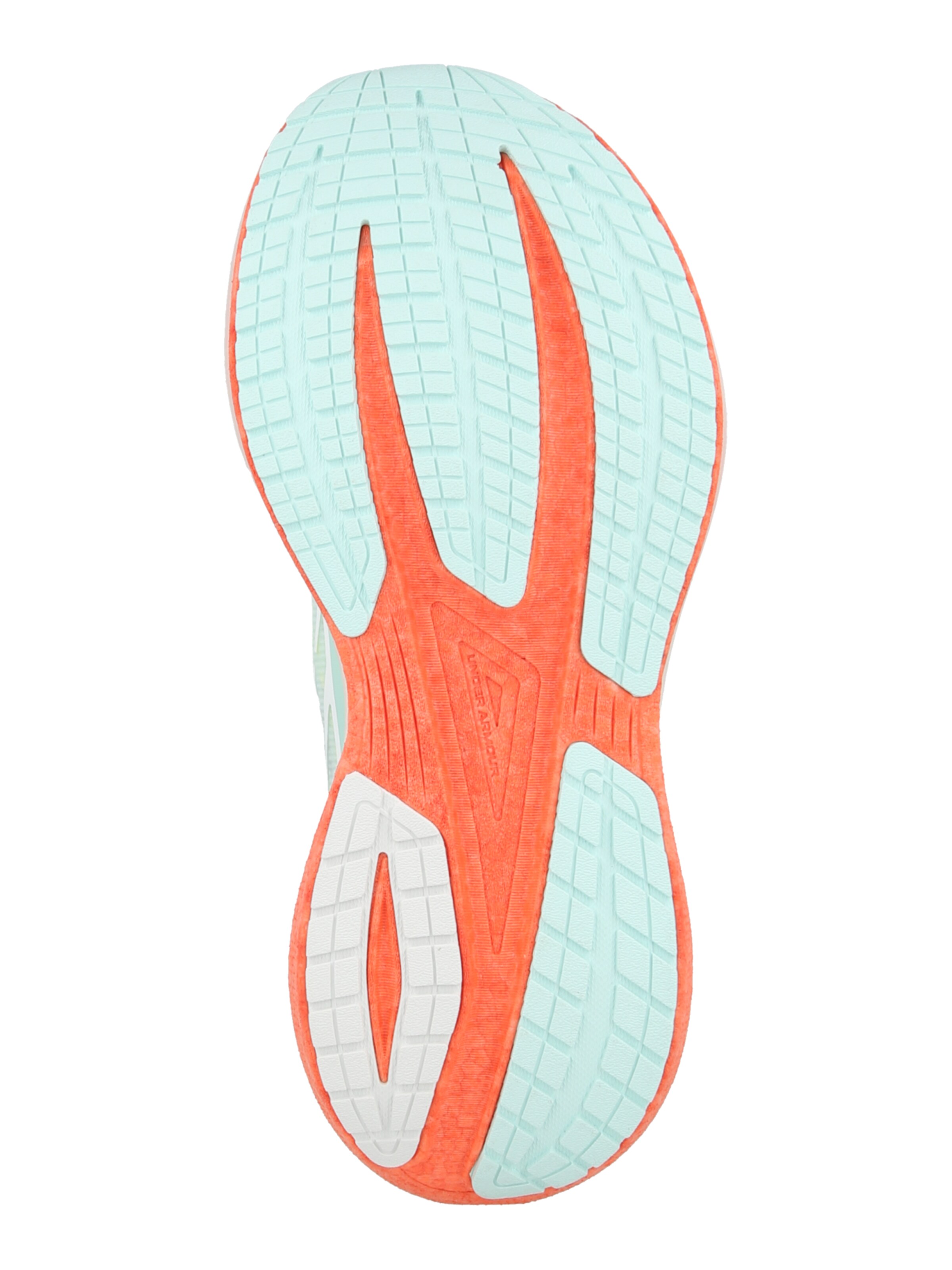 UNDER ARMOUR Обувь для бега 'Velociti Distance' в Зеленый