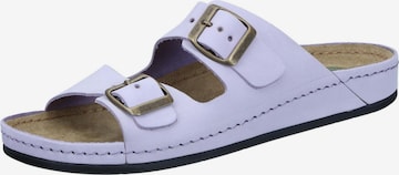 DR. BRINKMANN Mules 'BONILLO' in Purple: front