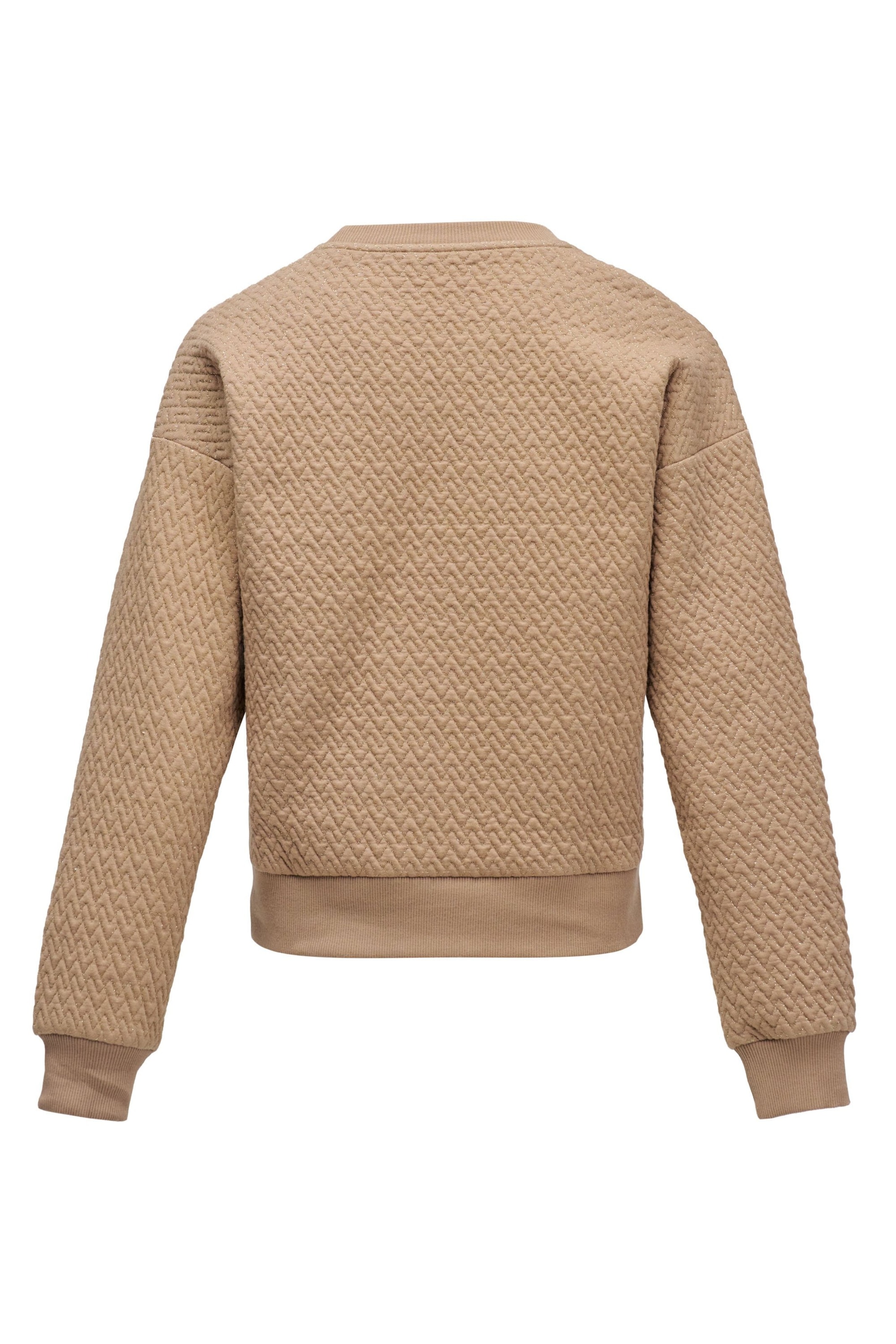 Salsa Jeans Pullover in Beige