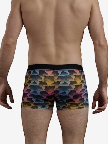 ADIDAS SPORTSWEAR Boxer shorts ' Aeroready ' in Mixed colors