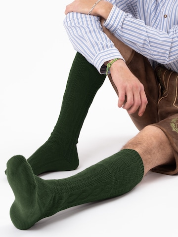 HerzSticht Trachtensocken 'Bergdistel' in Grün