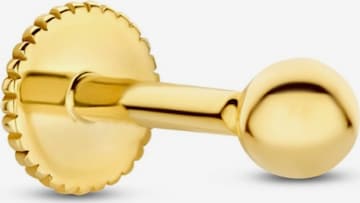 Boucles d'oreilles ' BO370002' Beloro Jewels en or : devant