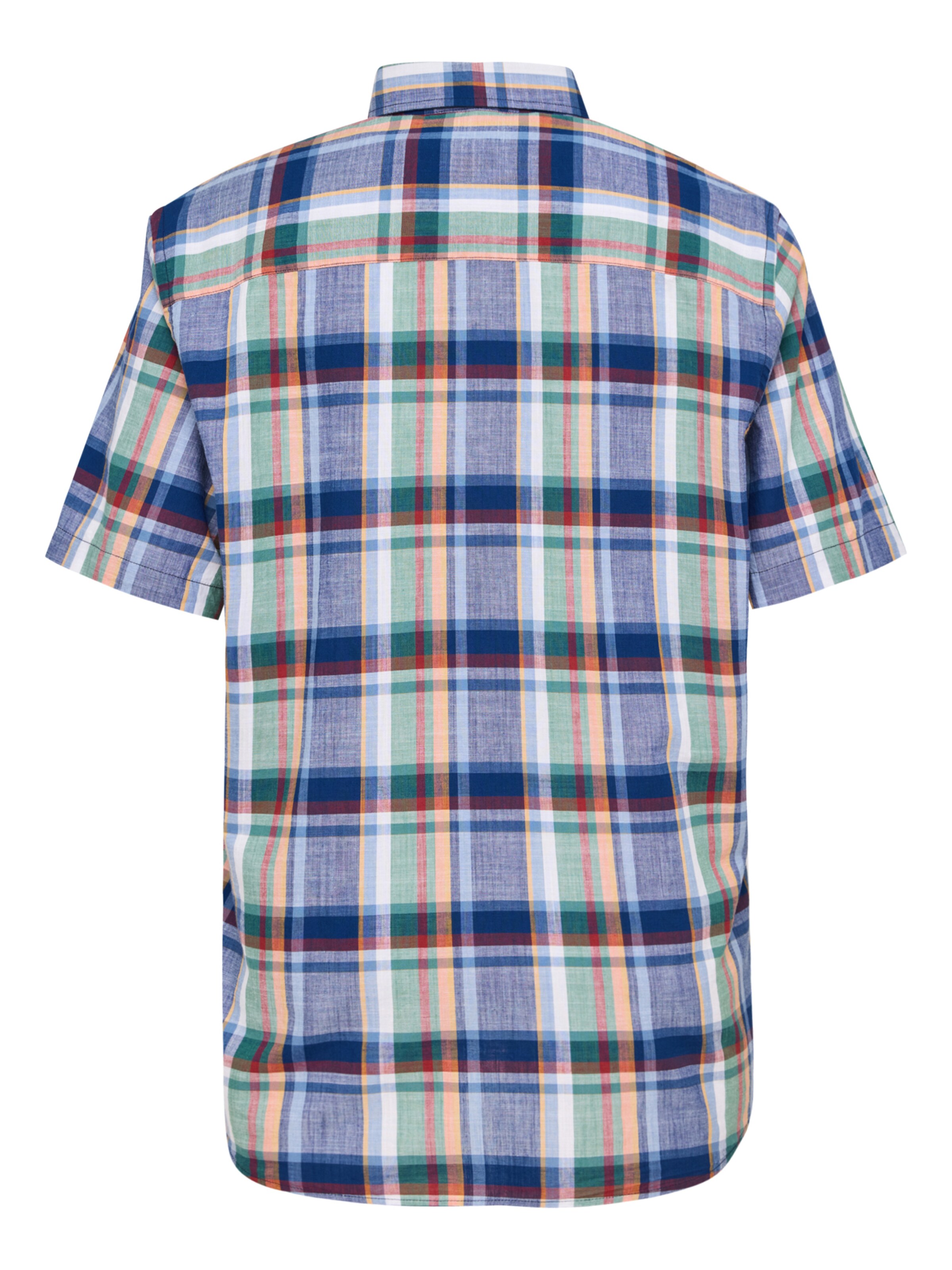 PADDOCKS Regular fit Button Up Shirt in Blue