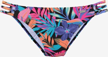 BENCH Bikinové nohavičky 'Pitch' - zmiešané farby: predná strana
