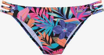 BENCH Bikini Bottoms 'Pitch' in Mixed colors: front