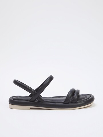 Trendyol Sandals in Black