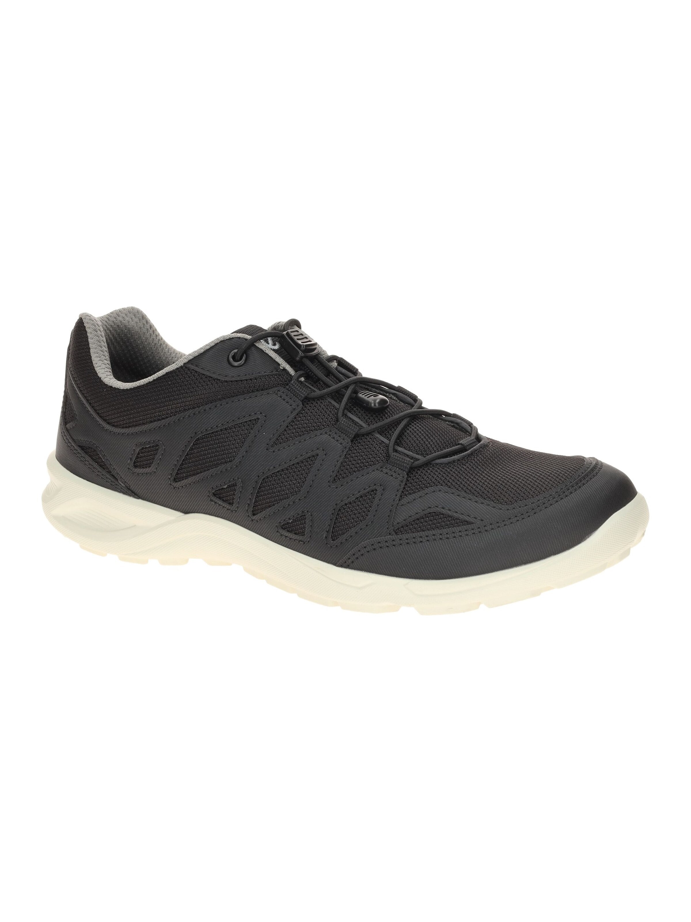 ECCO Sneakers 'Ecco TerraCruise LT Schuhe schwarz Herren 825804' in Black: front