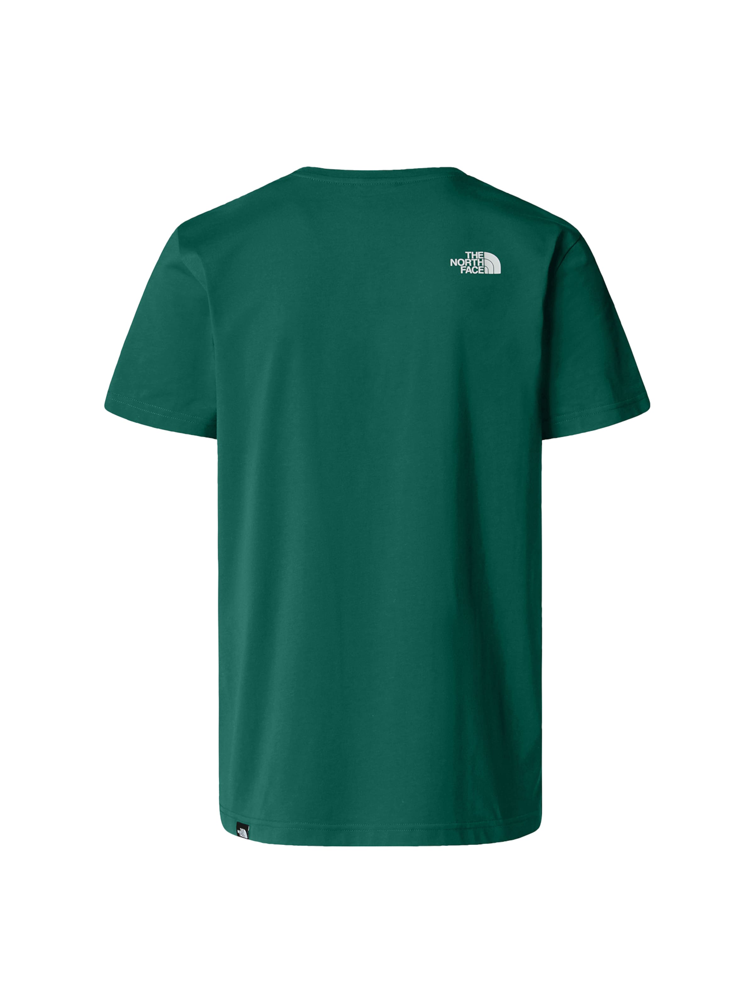 THE NORTH FACE Shirt 'Evolution Simple Dome' in Groen