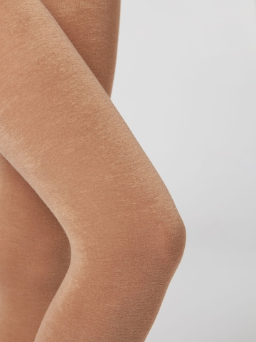 CALZEDONIA Tights 'thermo' in Brown