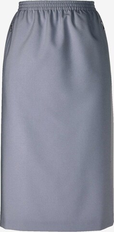 Goldner Skirt in Grey: front