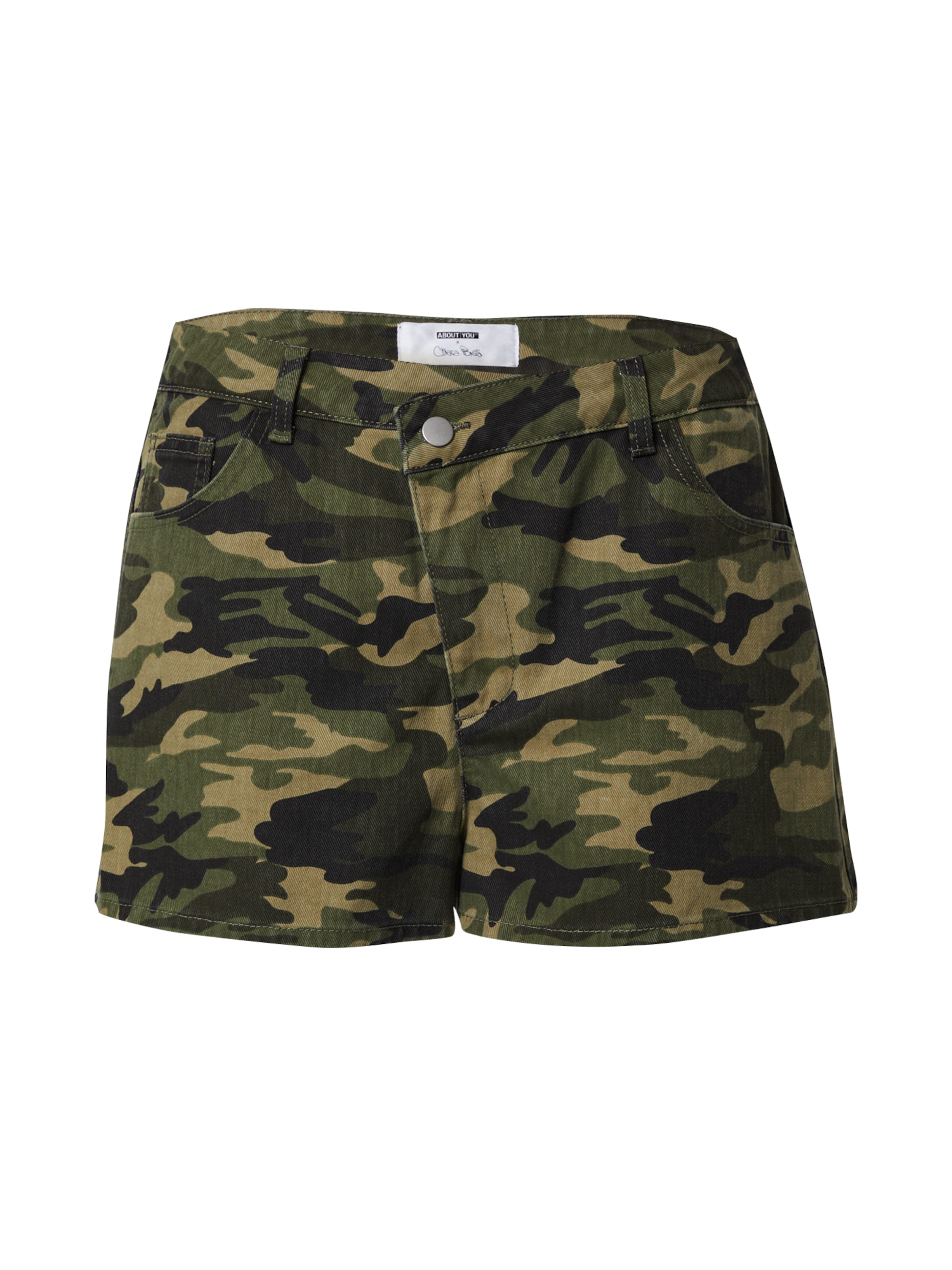 ABOUT YOU x Chiara Biasi Normální Kalhoty 'Dion' – zelená: přední strana