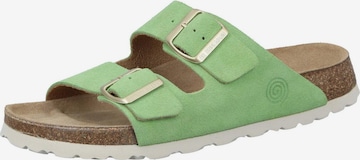DR. BRINKMANN Mules 'BONILLO' in Green: front