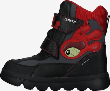 GEOX Stiefel in Schwarz